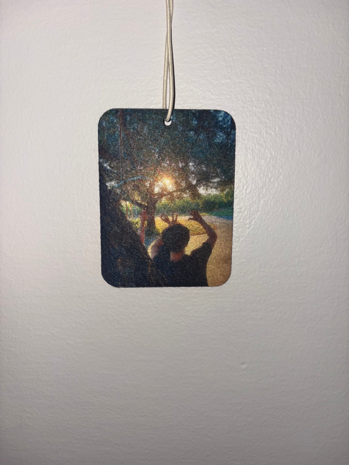 Custom Car Air Fresheners